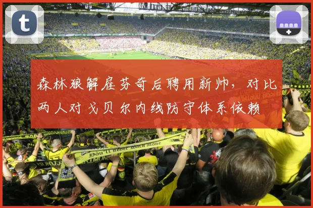 森林狼解雇芬奇后聘用新帅,对比两人对戈贝尔内线防守体系依赖